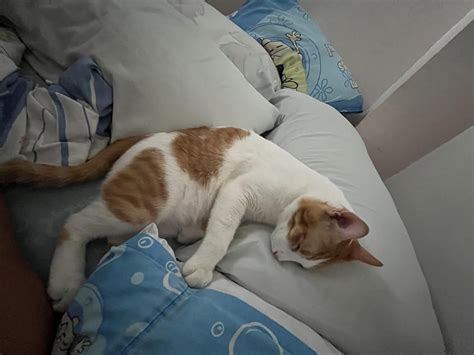 pinaynay tulog|Himbing ng kanyang tulog kaya kinantot ng Pinsan .